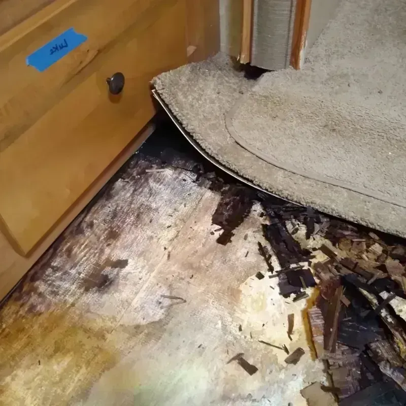 Wood Floor Water Damage in Ada, OK